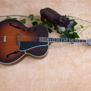 Gibson TG 50 (1937) 1