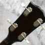 Gibson TG 50  (elect) 4